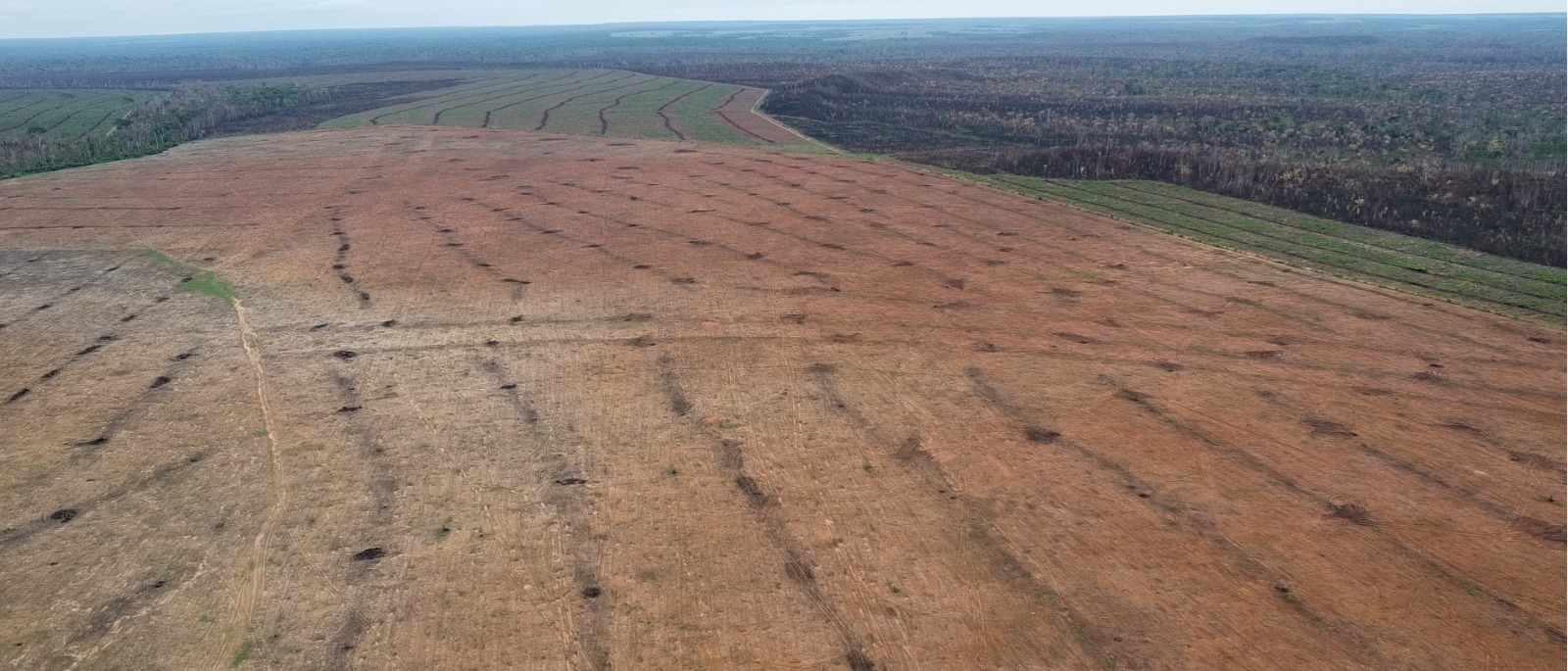 Mapeamento de áreas degradadas com drone — DronyImagem